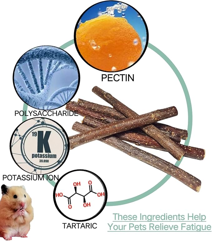 Apple Wood Sticks for Chinchilla,Natural Chew Toys and Treats for Chinchilla Guinea Pig Hamster Gerbil,Rabbit Chew Toys for Teeth (Thin 600g-21oz)