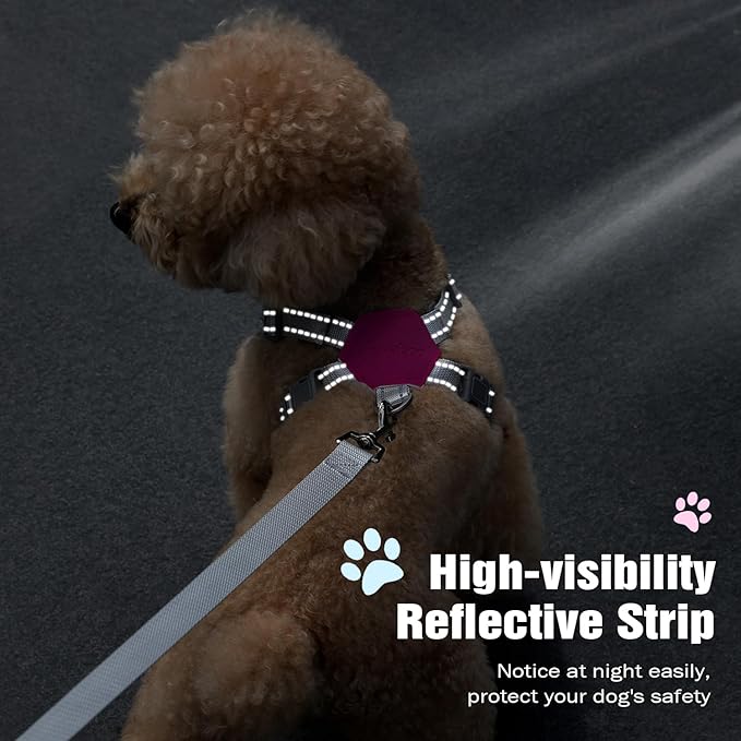 Pawaboo Small Dog Harness and Leash Set, Puppy Harness X-Frame No Pull No Choke, Dog Vest Harness Adjustable for Small Medium Sized Dogs, Soft Breathable Pet Harness for Walking Outing, S, Magenta