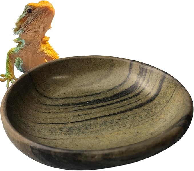 Natural River Stone Reptile Food Bowl - Handmade Pebble Dish for Reptiles, Amphibians, Hedgehogs, and Small Pets - Unique Size, Shape & Color - Water & Food Bowl (Brown)