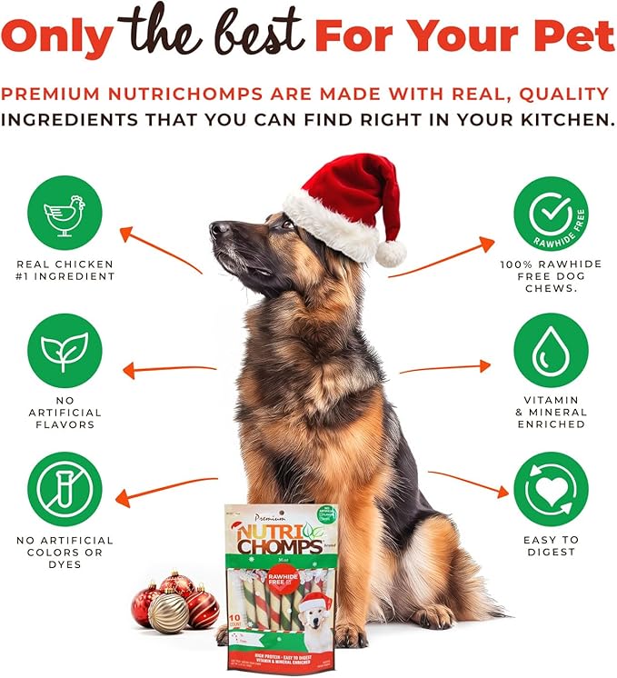 NutriChomps Dog Chews, 5 inch Twists, Mint Flavor, 10 Count, Easy to Digest, Rawhide Free, Holiday Stocking Stuffer Treats, Christmas Gift for Dogs
