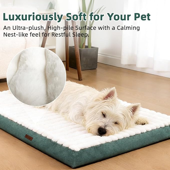 Orthopedic Dog Bed with Firm High-Density Egg Crate Foam Mattress,Soft Short Plush Surface Pet Beds,Machine Washable with Removable Cover & Non-Slip Bottom for Small Breeds (Green, 23"L x 17"W x 3"H)