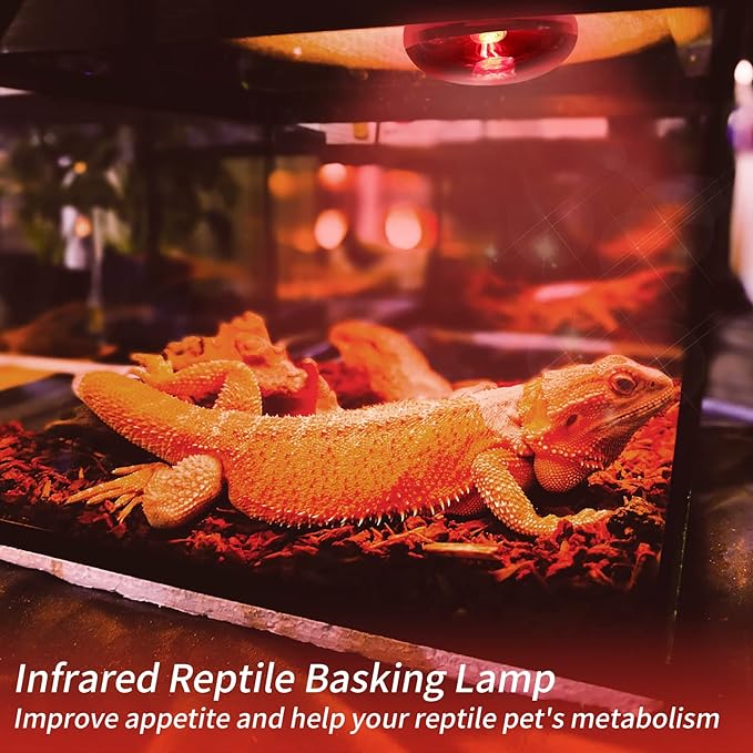 Reptile Heat Lamp Bulbs,Infrared 100W Reptiles & Amphibians Basking Spot Lamp Bulb, 2 Packs Red Heat Emitter Light for Chickens Coop