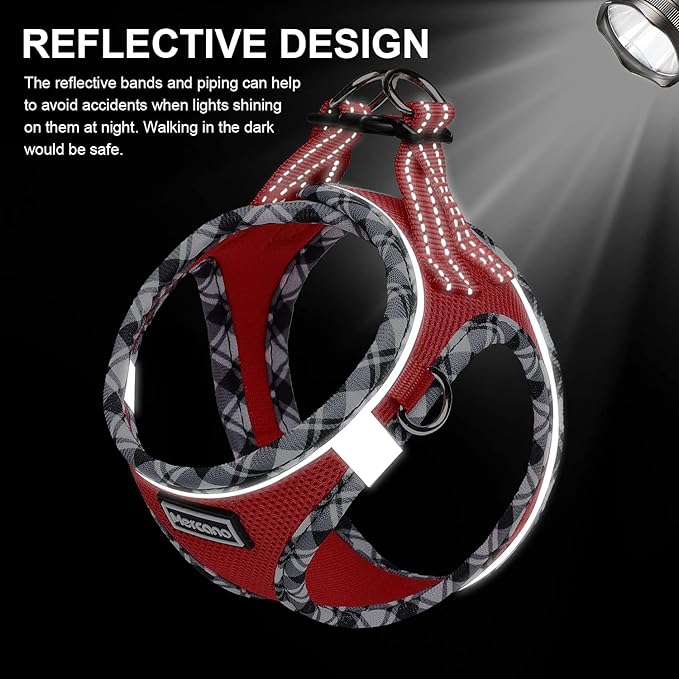 Mercano Soft Mesh Dog Harness and Leash Set, No-Chock Step-in Reflective Breathable Lightweight Easy Walk Vest Harnesses with Safety Buckle for Small Dogs, Cats (Red, XXS)