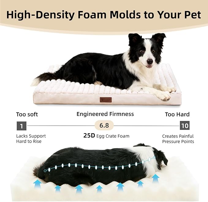 Orthopedic Dog Bed with Firm High-Density Egg Crate Foam,Soft Short Plush Surface Pet Beds,Machine Washable with Removable Cover & Non-Slip Bottom for Medium/Large Breeds (Beige, 35"L x 22"W x 3"H)
