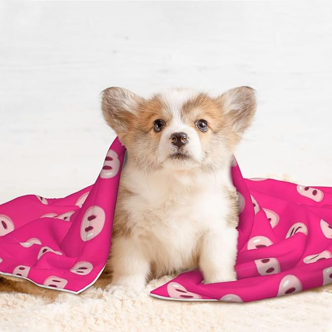 Dog and Cat Blanket in One, Cute Pig Nose Printed Pink, Double Sided Plush Throw with Raised Dot Pattern on One Side and Flat Velvet on Other for Variety