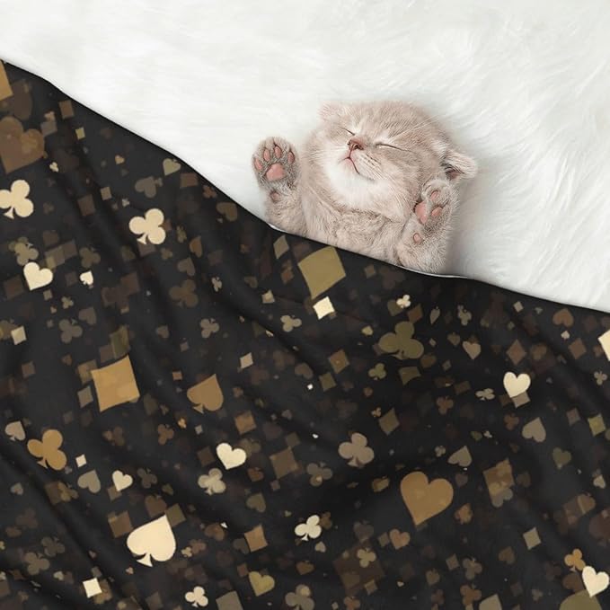 Casino Print Soft Plush Pet Blanket, Washable Dog Blanket, Cat Fleece Throw, Puppy Bed Crate Mat & Sofa Couch Protector - Small