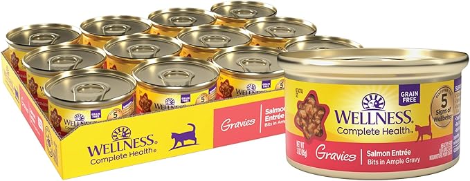 Wellness Complete Health Gravy Adult Wet Cat Food, Natural, Protein-Rich, Grain Free, 3 Ounce, 12 Pack, (Salmon Entree)