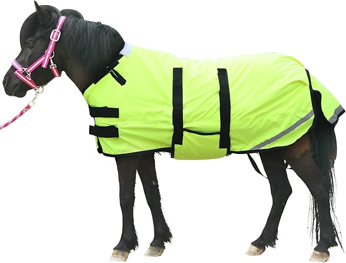 Foal/Mini Horse Size 30"-48" Waterproof & Breathable 300 Denier Winter Turnout Blanket with 150g Polyfill Green Small