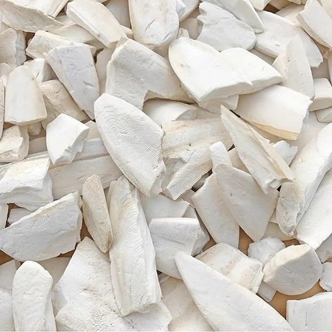 Bird Cuttlebone for Parakeets Cuttlebone for Birds - 100% Natural Cuttlefish Bone Bulk Chew Toy Bird Bites Calcium Stone for Canaries Tortoises,Snails,Reptiles,Parrots,Cockatiel