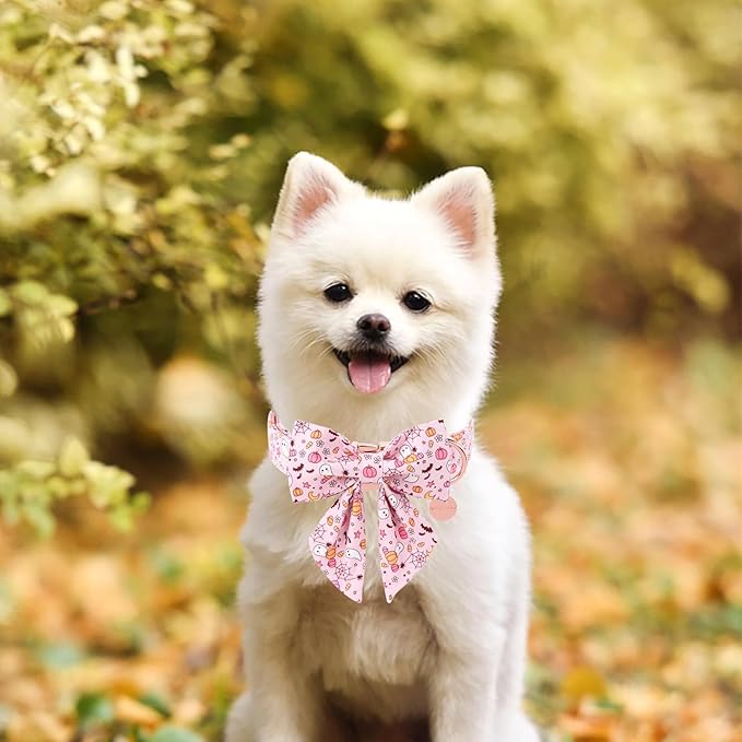 Halloween Dog Collar with Flower, Pink, XS