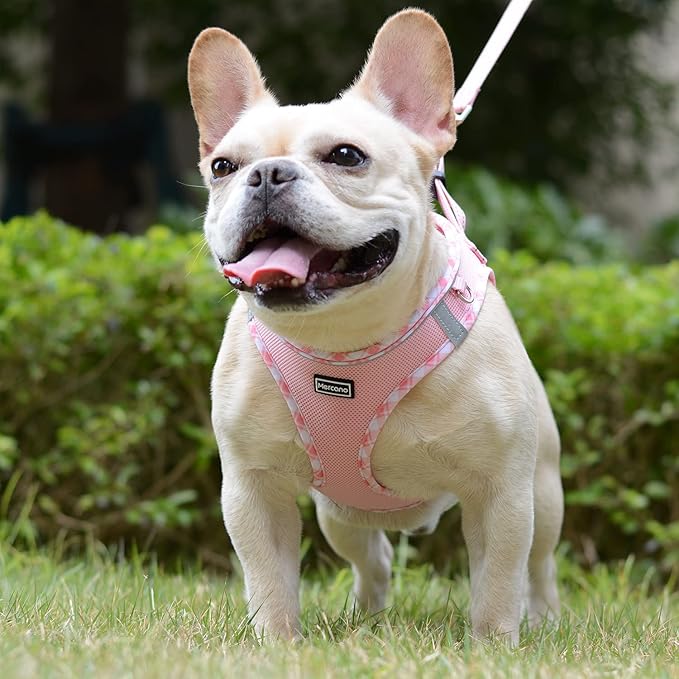 Mercano Soft Mesh Dog Harness and Leash Set, No-Chock Step-in Reflective Breathable Lightweight Easy Walk Vest Harnesses with Safety Buckle for Small Dogs, Cats (Pink, XXS)