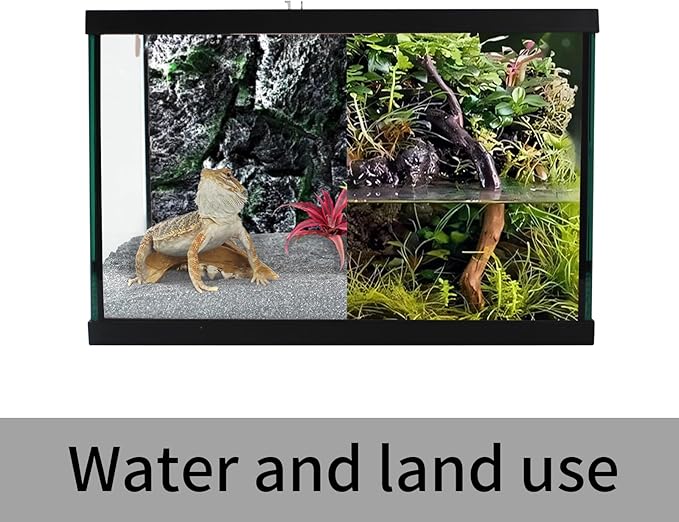 Reptile Glass Tank 16"x11"x9" Terrarium with Top Opening and Screen Ventilation for Leopard Gecko,Lizard,Hermit Crab,Snake,Spider,Frog,Bearded Dragon,Turtle with Feeding Tongs