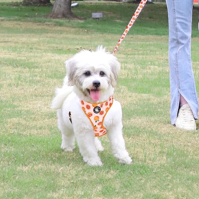 Dog Cat Harness and Leash Set, Puppia Soft Mesh Padded and Adjustable Puppy Vest Cute Dog Clothes Escape Proof Easy Walk Pet Accessories (Grapefruit, L (Neck 15.7"-21"; Chest 19.6"-28.3"))