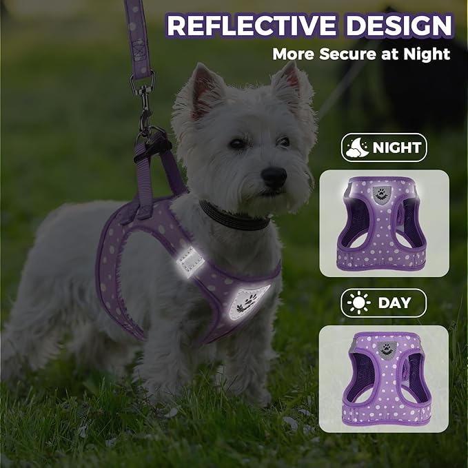 PAWCHIE Dog Harness and Leash Set, Step in No Pull Soft Pet Harness, Reflective Adjustable Puppy Vest for Small Medium Dogs Cats,No Choke Harness Vest with Poop Bag Holder for Walking,Running,Purple M