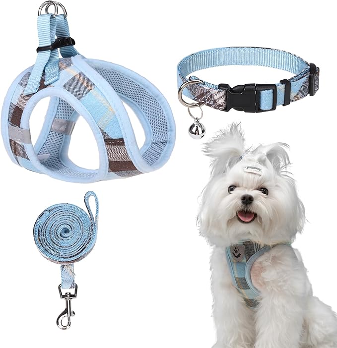 EXPAWLORER Classic Plaid Puppy Harness - Small Dog Collar and Leash with AirTag Holder Case - Soft Mesh Padded Adjustable Dog Vest Harness No Pull, Reflective Escape Proof for Outdoor, Blue S