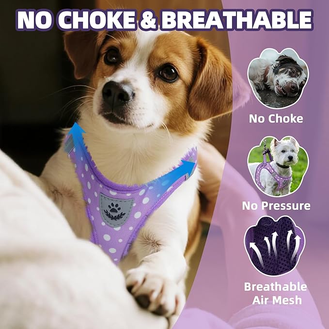 PAWCHIE Dog Harness and Leash Set, Step in No Pull Soft Pet Harness, Reflective Adjustable Puppy Vest for Small Medium Dogs Cats,No Choke Harness Vest with Poop Bag Holder for Walking,Running,Purple M