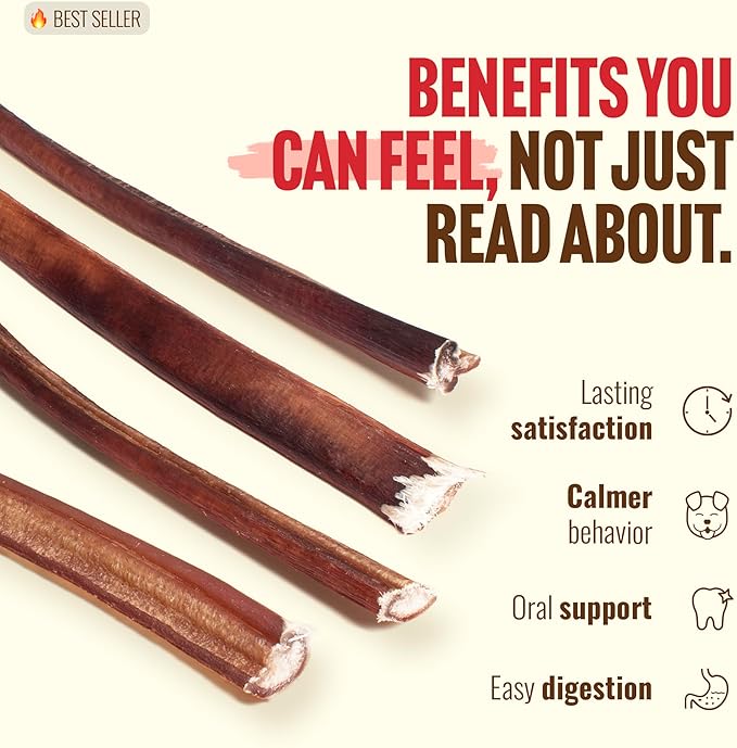Natural Farm Odor-Free Thin Bully Sticks (12”, 12-Pack) All-Natural Long-Lasting Dog Chews, 100% Beef Pizzle, Grass-Fed, Grain-Free, Protein for Muscle Development & Energy, Perfect for Large Dogs