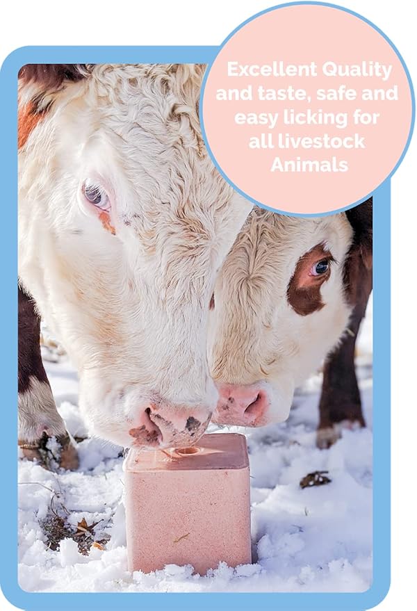 Himalayan Secrets Compressed Pink Salt Lick for Livestock and Wildlife Animals, Pure & Natural Feed Salt Block, Minerals & Trace Elements, No Additives, 11LB (5KG)