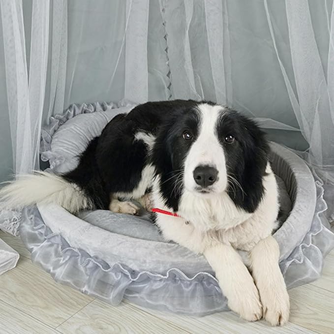 Princess Pet Bed with Bows Ruffled, Lace Design Soft and Beautiful Dog Sofa Detachable Cushion Princess Nest, Indoor Cave, Bottom, Removable Plush Cover