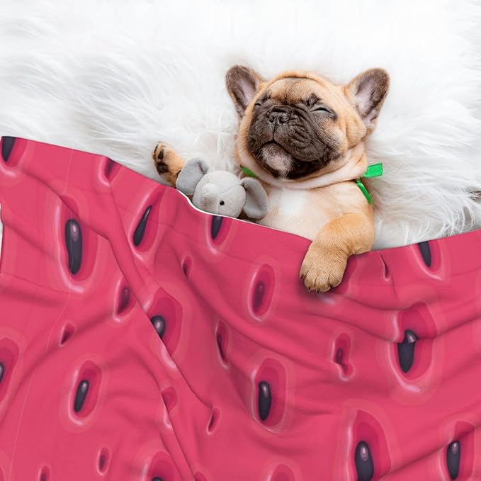 Reversible Plush Dot Pet Blanket for Dogs and Cats, Pink Watermelon, Ultra Soft Two Sided Design with Warm Fuzzy Side and Smooth Side for Comfort