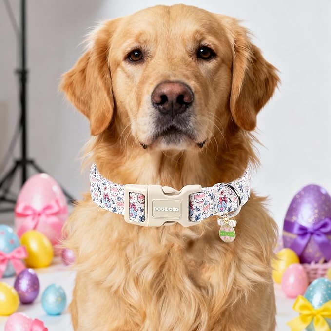 DOGWONG Cute Easter Egg Dog Collar, Adjustable Soft Egg Pet Collar for Small Medium Large Dogs,XS Visit The Elegant Little Tail Store