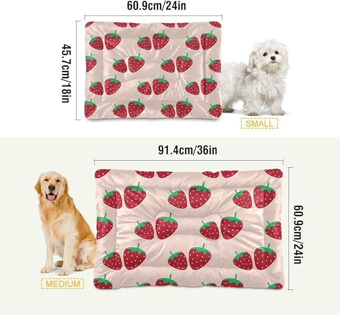 Pet Bed Strawberry Fruit Dog Bed Mat Absorbing Non Slip Pad Pet Sleeping Mat for Small, Medium, and Large Dogs Puppy Cat 36 in x 24 in