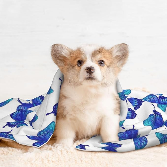 Pet Blanket for Car Rides Vet Visits, Butterflies Blue Purple, Two Sided Reversible Plush Design with Bumpy Dot Side Offers Comfort Home Piece On Go Travel