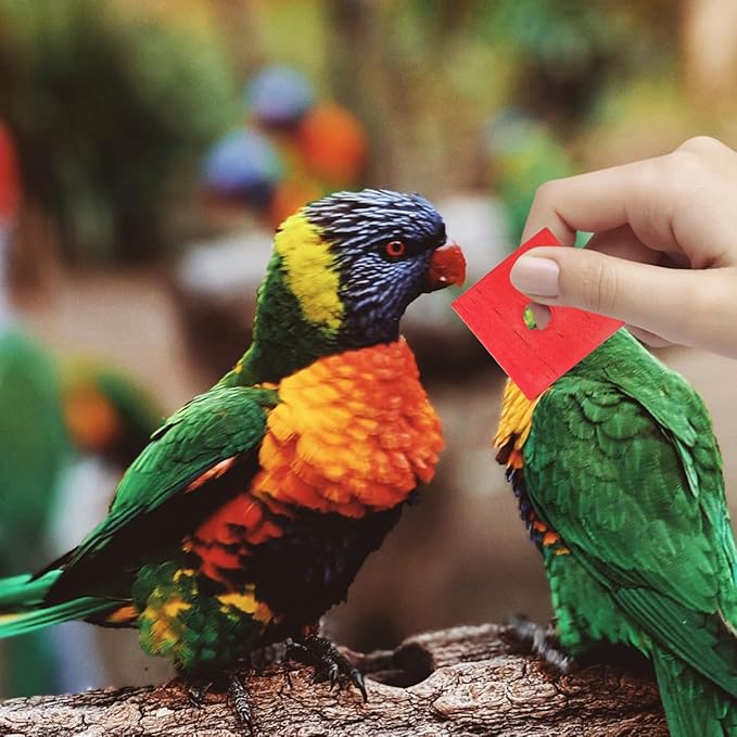 NOLITOY 100Pcs Wooden Parrot Chewing Toy Blocks with Hole Bird Bite Toy for Cockatiels Parakeets Macaws African Grey DIY Wood Chip Design for Pet Entertainment and Skill Development