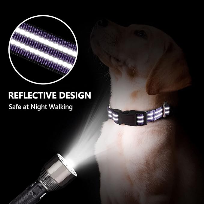 Martingale Dog Collar, Adjustable Nylon Reflective Collar with Buckle No Pull Dog Collar for Small Medium Large Dogs (Purple L)