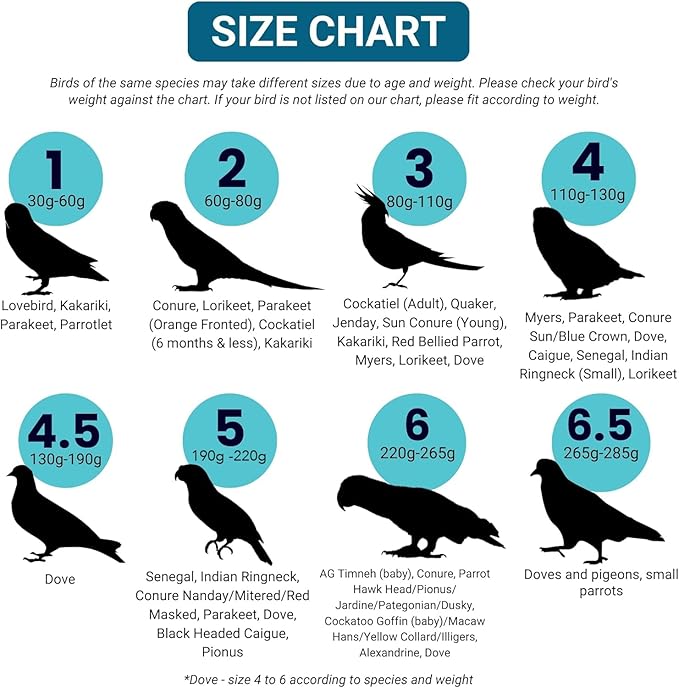Bev's Bird Boutique Regular Flyper Adjustable Bird Diaper | Reusable, Washable Cloth | Comfort Fit for Parrot, Cockatiels, & Other Small Birds | Fashionable Avian Accessories, Pirate, Size 8