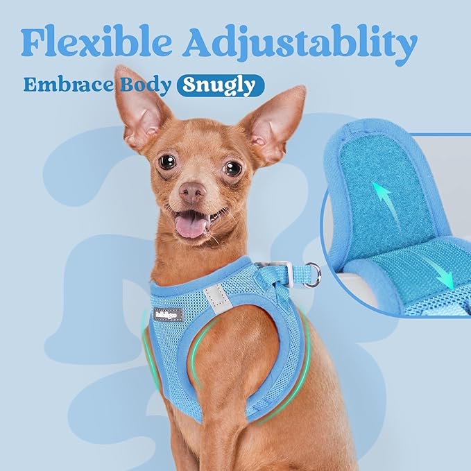 rabbitgoo Small Dog Harness, Step-in Soft Mesh Puppy Vest with Safety Buckle, Breathable Reflective Pet Harness for Extra Small Dogs, Blue XXXS