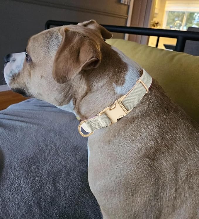 Soft Cotton Hemp Dog Collar with Metal Buckle Adjustable Tweed Dog Collars for Small Medium Large Dogs(Grey,Medium)