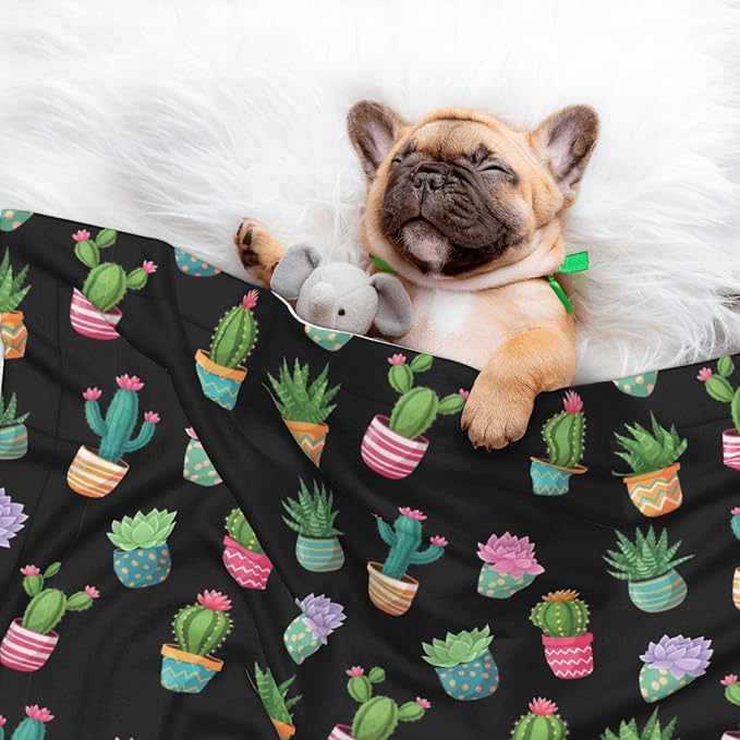 Two Sided Pet Cuddler Blanket for Anxiety Calming, Succulent Cactus Potted Plants, Reversible Plush Design with Bubble Dot Pattern Provides Familiar Surface Anywhere