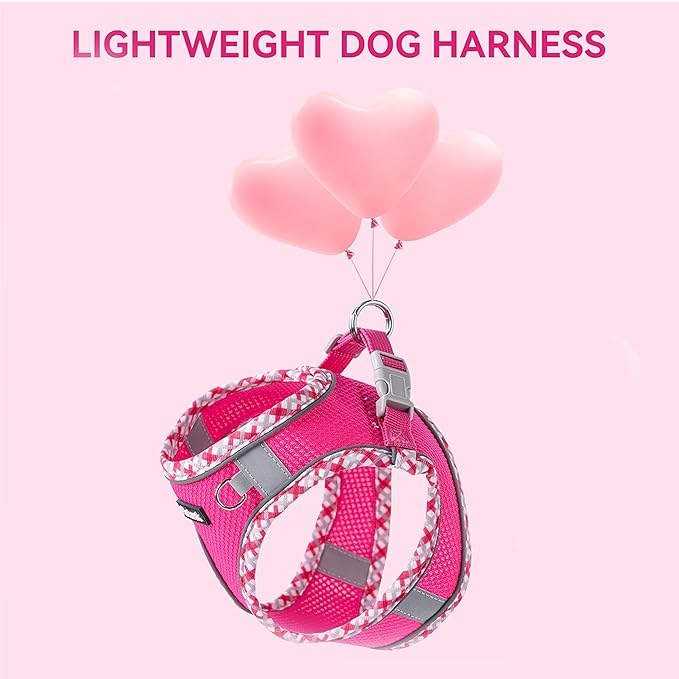 Petank Dog Harness for Small Medium Dogs No Pull, Puppy Harness and Leash Set for Walking, Running, Training, Small Dog Harness, Medium Dog Harness (Brown, XXS)