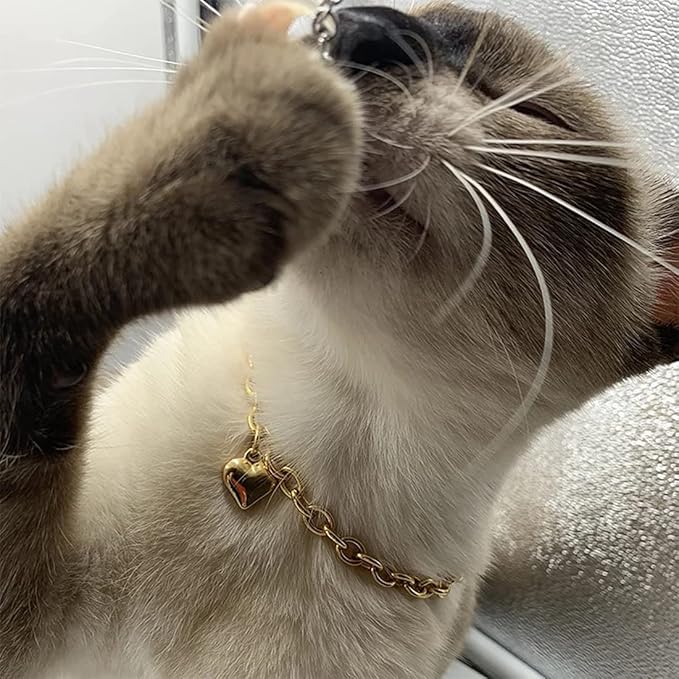 HOWWFALY Dog Collar and Cat Chain Necklace Stainless Steel Adjustable 18K Gold Heart-Shaped Necklace for Small Pets Cats Kitten Puppy (Gold, 12 inch)