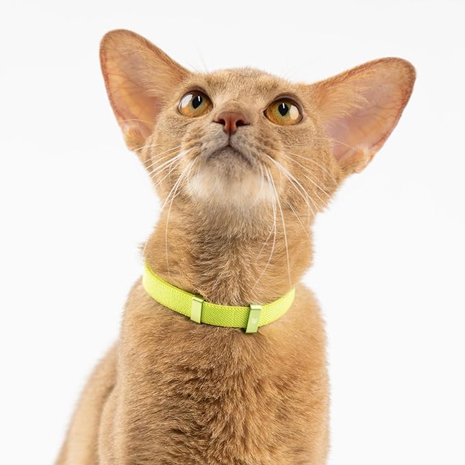 Safety Cat Collar - U.S. IDA Gold Awarding Design, Elastic Quick Release, Non Breakaway - Lightweight for Kitten, Neck Fit 7.8'-15.7' for All Small Large Cat,M(Linen)