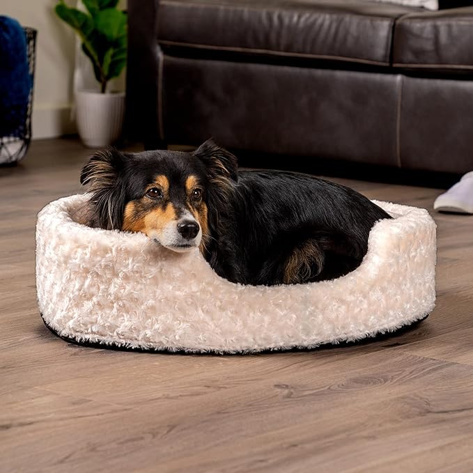 Furhaven Dog Bed for Large/Medium Dogs w/ Removable Washable Cover & Pillow Cushion Insert, For Dogs Up to 30 lbs - Ultra Plush Faux Fur Oval Lounger - Cream, Large