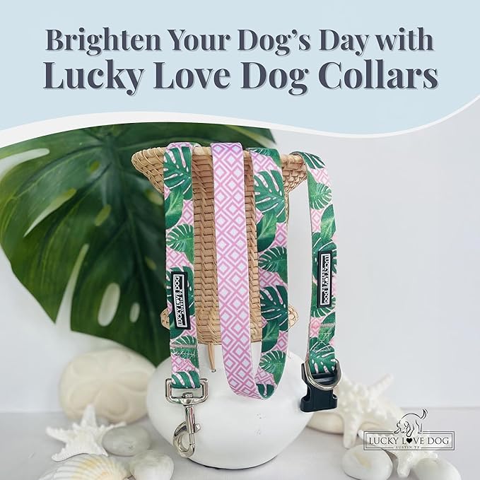 Lucky Love Dog - Adjustable Dog Collar with Easy Click Buckle for Small Ones, Durable, & Comfortable for Male & Female Dogs, Pet Collar for Puppies & Adult Dogs - Laguna, XS