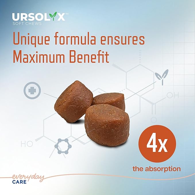 URSOLYX Soft Chews for Dogs | Muscle Health Support for Senior, Active or Recovering Dogs, Large | 120 Count 4-Month Supply