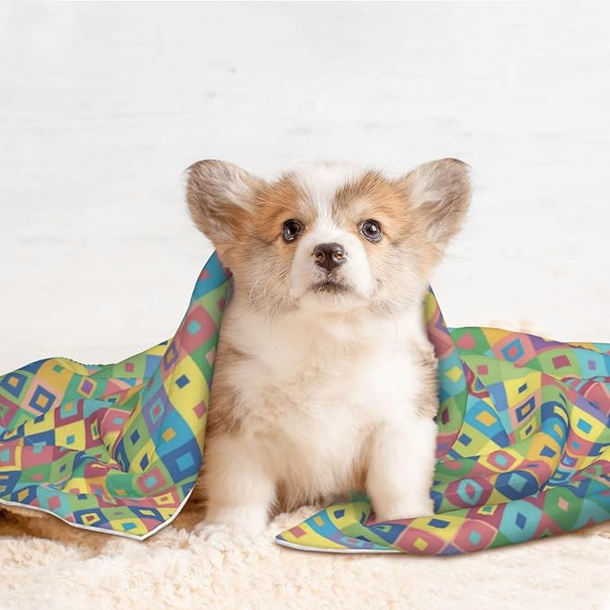 Dog and Cat Blanket in One, Rainbow Diagonal Plaid, Double Sided Plush Throw with Raised Dot Pattern on One Side and Flat Velvet on Other for Variety