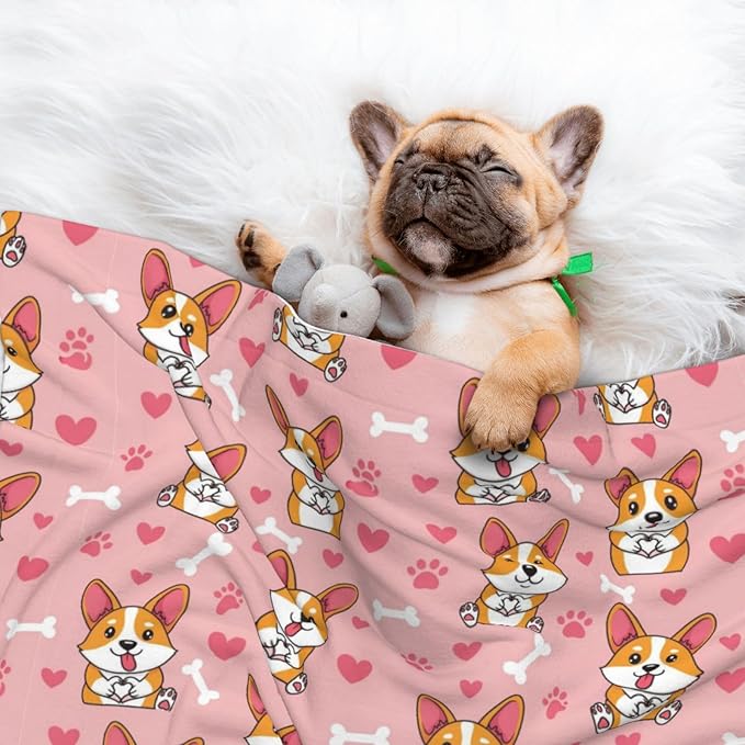 Reversible Dog Blanket for Beds Couches, Cute Happy Corgi Dog, Double Sided Cat Blanket with Textured Dot Feel and Smooth Feel for Seasonal Comfort All Year