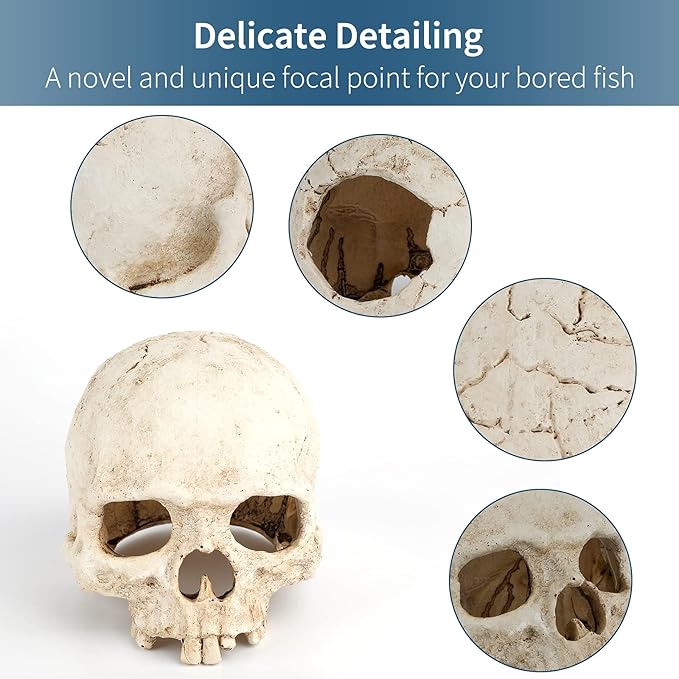 Uniclife Aquarium Skull Reptile House Decor Resin Head Skeleton Ornament for Tank Landscape Decorative Hideout Cave Shelter for Small Fish Shrimp Snail Gecko Spider Lizard in 5-20 Gallon Fish Tank