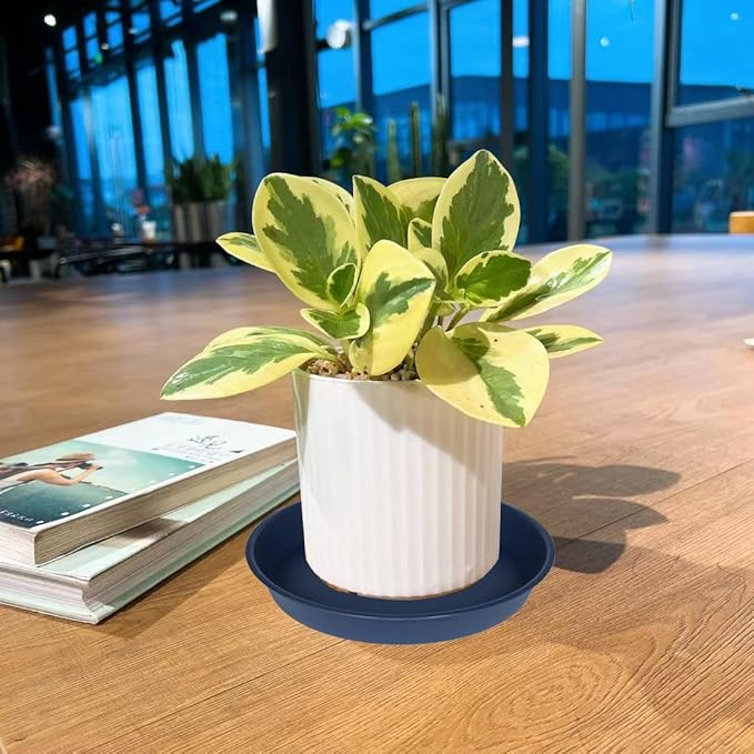 2 Pack of 10 inch Plant Saucer Gray, Heavy Duty Plastic Plant Saucer 10 inch Round, Durable Plant Tray for Pots, Plant Saucers for Indoors, Plant Trays for Planter 9"/10" (10", Blue)