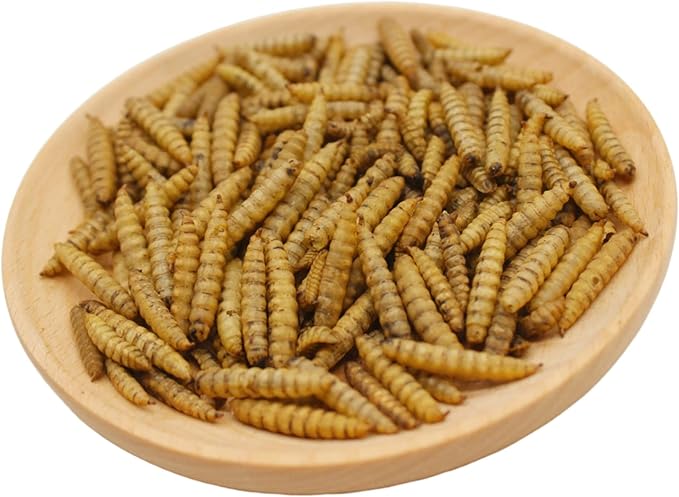 Premium Chicken Treats 2LB - Non-GMO & 85X More Calcium Than Meal Worms - Molting & Laying Supplement - BSF Larvae Treats for Layer Hens, Ducks Wild Birds