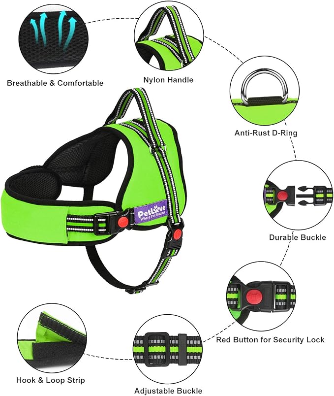 PetLove Dog Harness, Adjustable Soft Leash Padded No Pull Dog Harness for Small Medium Large Dogs, Green