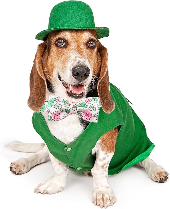 Lionheart glory Dog Bow Collar St. Patrick's Day Dog Collar for Medium Dogs, Adjustable Green Collars Lucky Clover Shamrock Dog Collar with Bowtie Pet Collar Bows