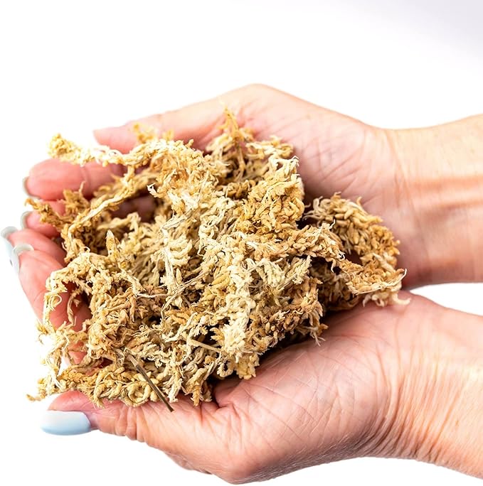 Premium Grade Sphagnum Moss by Gardenera - 20 Quart - Organic Hand Mixed New Zealand Long Fibered Sphagnum Moss Orchid - 4 Bags of 5 Quart