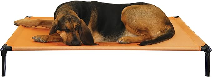 Starmark Dog Zone Bed X-Large Sunset Gold