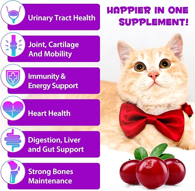 Cat Vitamins, 15 in 1 Cat Multivitamin Liquid Drops, Cats Vitamins and Supplements with Glucosamine and Probiotics, Vitamin for Cats Skin Coat, Immunity, Gut Digestion, Joint, Heart, 60ML