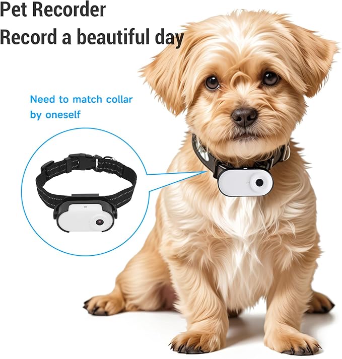 Pongnas Pet Camera Collar, 1080P HD Video Recording with Anti Shake, 0.96 Inch IPS Color Screen, Wide Angle Lens, Magnetic Mount, for Cycling Outdoor Pets (White)